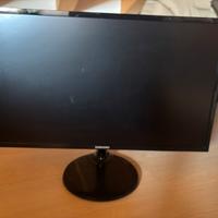 Monitor 24 pollici 60hz