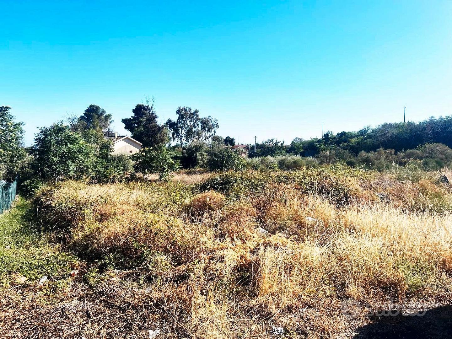 Terreno non recintato pianeggiante 2000 mq - Vista 4