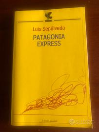 Libro Patagonia Express