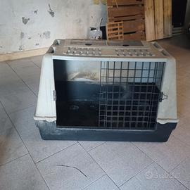 Trasportino per cani taglia grande