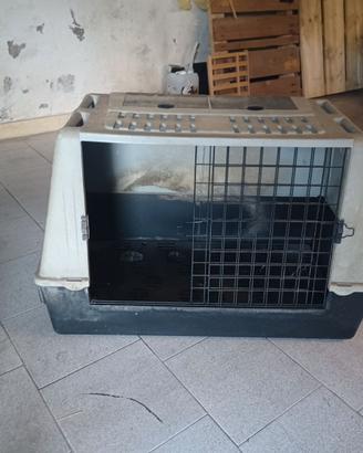 Trasportino per cani taglia grande