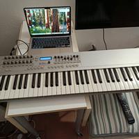 tastiera novation remote 61 