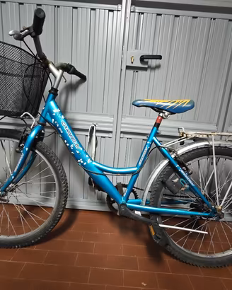 bicicletta 