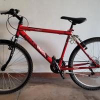 bici MTB 26 pollici