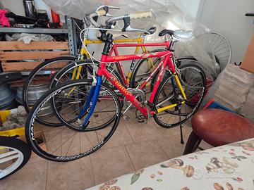 Bici da corsa Wilier triestina