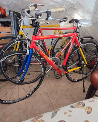 Bici da corsa Wilier triestina