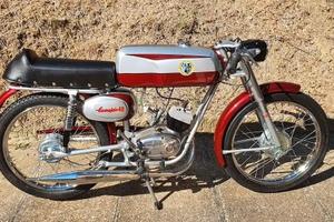 Beta 50 Camoscio 4v