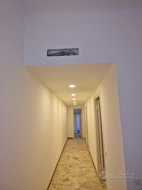 Prof. Muratore & Imbianchino