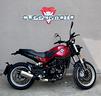 benelli-leoncino-500-trail