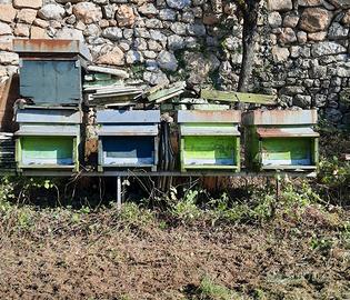 arnie ed attrezzatura varia per apicoltura 