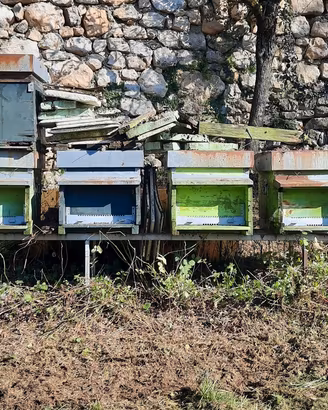 arnie ed attrezzatura varia per apicoltura 