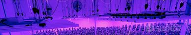 Lampade a led per coltivazione