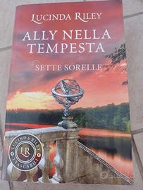 Ally nella tempesta