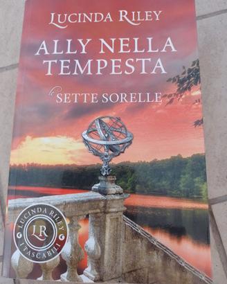 Ally nella tempesta