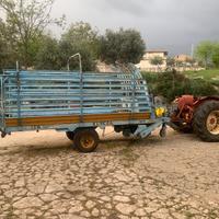 Autocaricante Europa