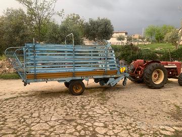 Autocaricante Europa