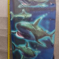 Tavola da mare squalo per bambino kid bimbo