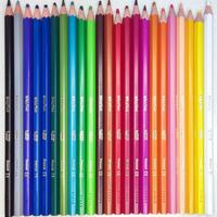 24 matite in legno colorate BIC evolution