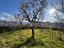 Immagine 14
