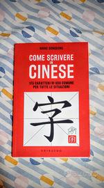 Come scrivere in cinese: 175 caratteri di uso...