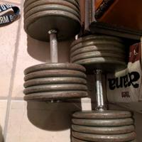 manubri palestra ghisa 47kg