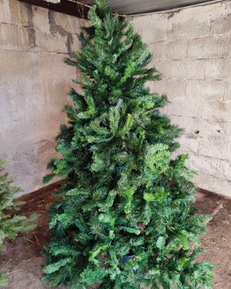 Albero di natale