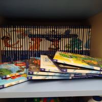Collana libri Disney