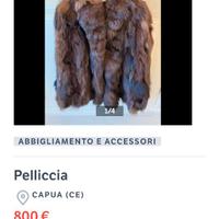 Pelliccia