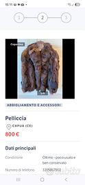 Pelliccia