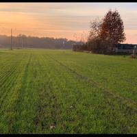 Terreno Vivaio Olmi - Carignano / La loggia