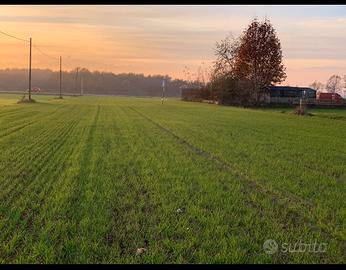 Terreno Vivaio Olmi - Carignano / La loggia