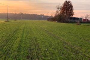 Terreno Vivaio Olmi - Carignano / La loggia