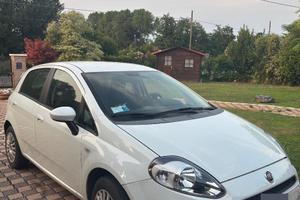 Punto evo 1200