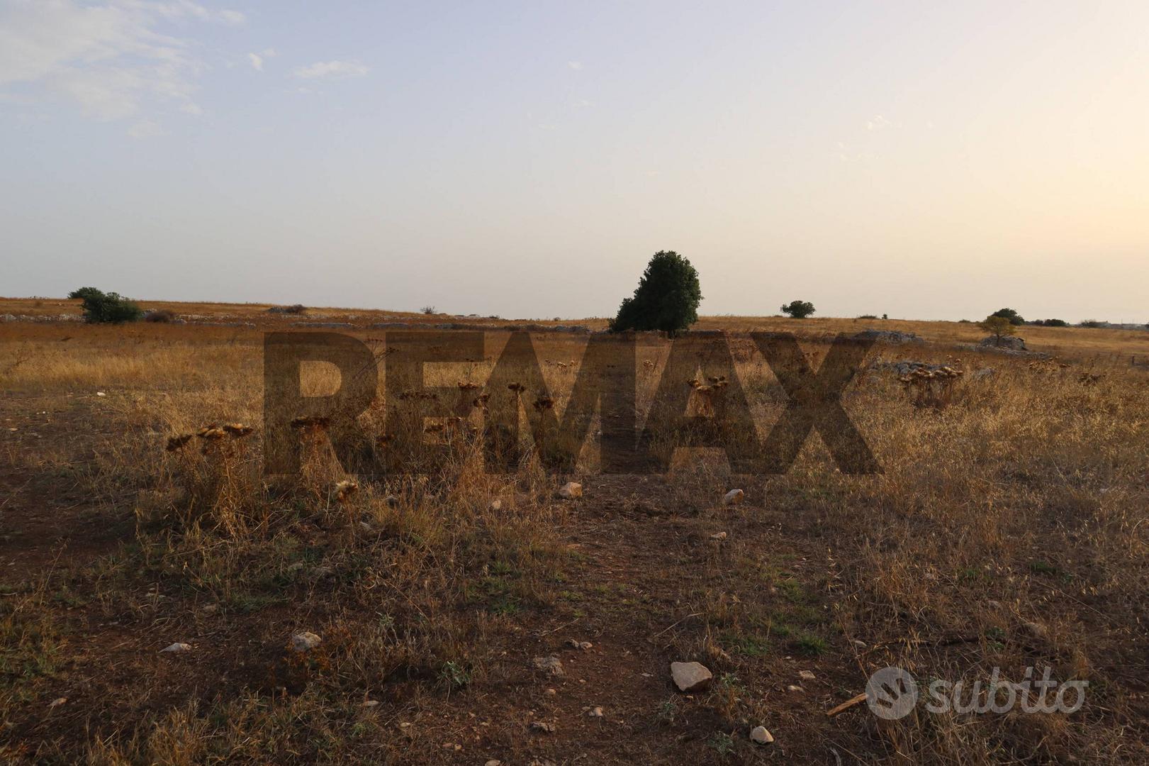 Terreno - Comiso - Vista 5