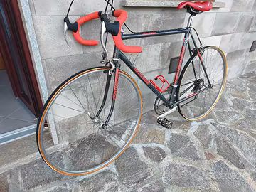 bici da corsa raleigh gipiemme