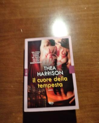 Il cuore della tempesta