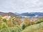 Immagine 21