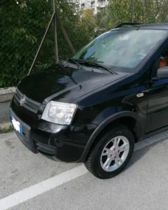 Panda 4x4  1.2 fire benzina  + ELD, Neopatentati