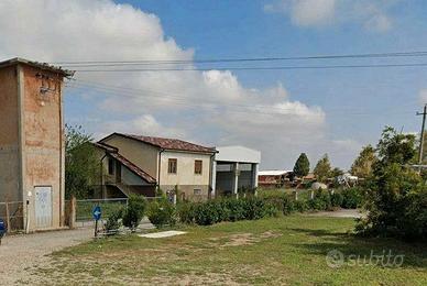 RGE 196/2024 Trib Pavia