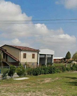 RGE 196/2024 Trib Pavia