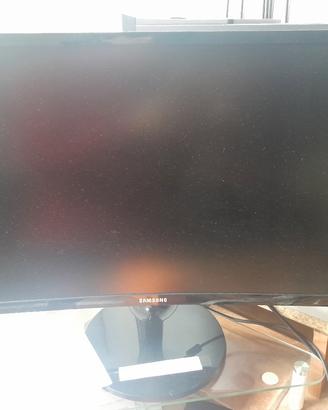 computer desktop e monitor 