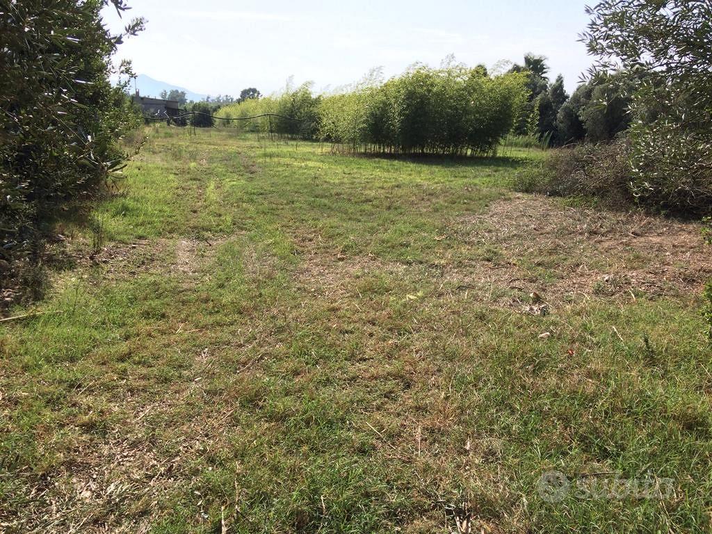 Terreno agricolo Assemini mq. 5.157 - Altro