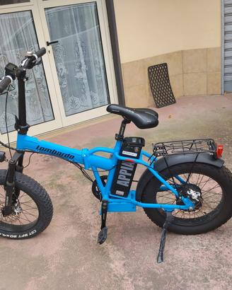 Bici elettrica