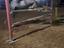 Immagine 5