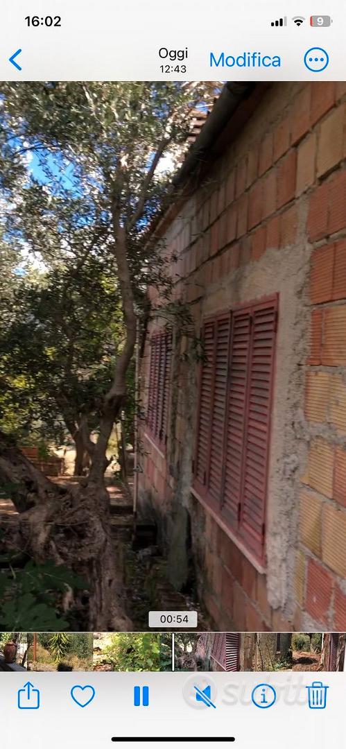 Splendida Tenuta a Lattarico - Altro