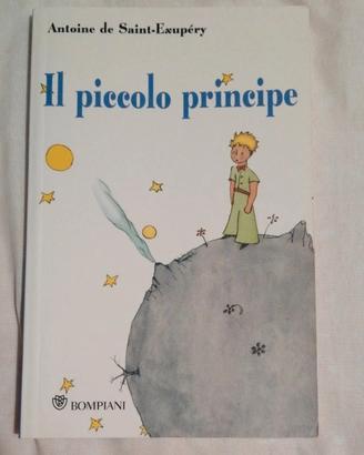 Il piccolo principe 