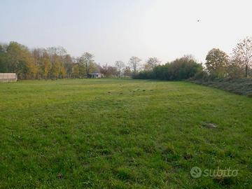 UNICA: 1.200 mq edificabili + verde a...