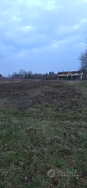 Terreno agricolo a San Lorenzo isontino