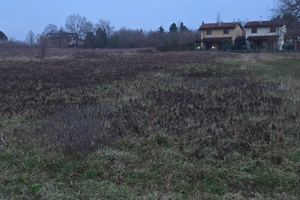 Terreno agricolo a San Lorenzo isontino