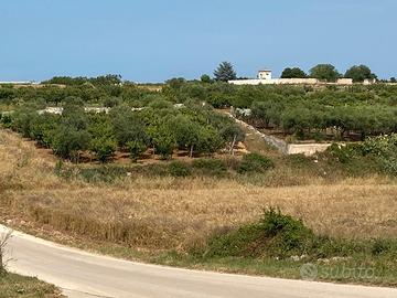 Terreno agricolo in Rutigliano